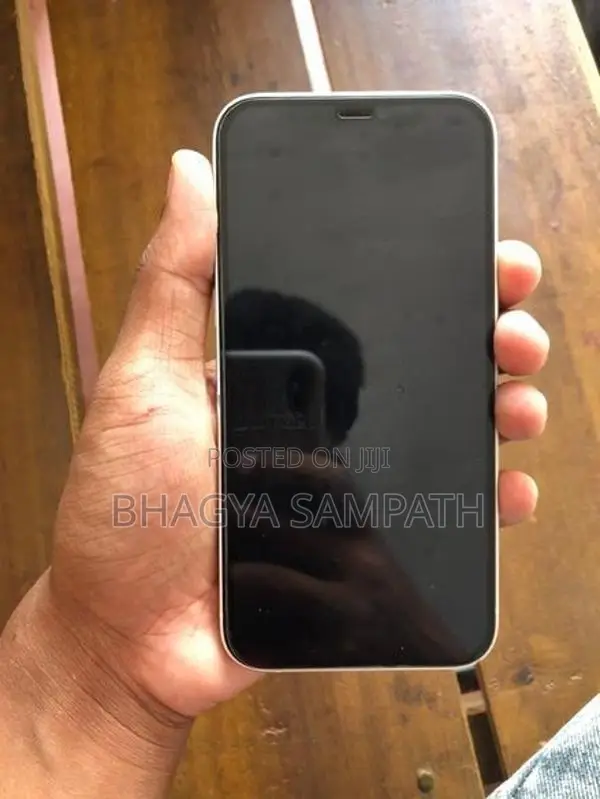 Apple iPhone 12 (Used)