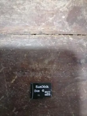 Sandisk SD Card