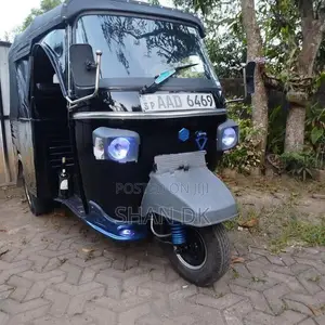 Piaggio Ape 2013
