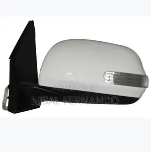 Toyota RAV4 2010 Side Mirror