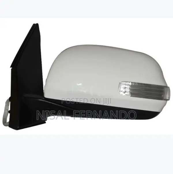 Toyota RAV4 2010 Side Mirror