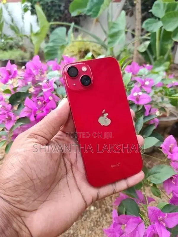 Apple iPhone 13 (Used)
