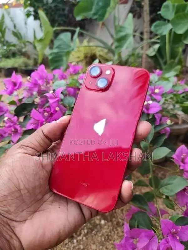 Apple iPhone 13 (Used)
