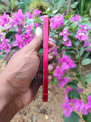 Apple iPhone 13 (Used)