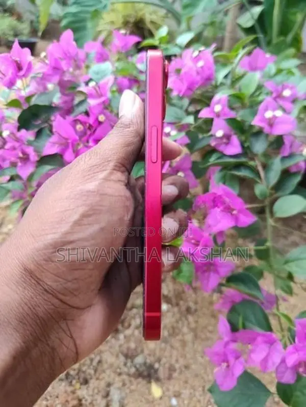 Apple iPhone 13 (Used)