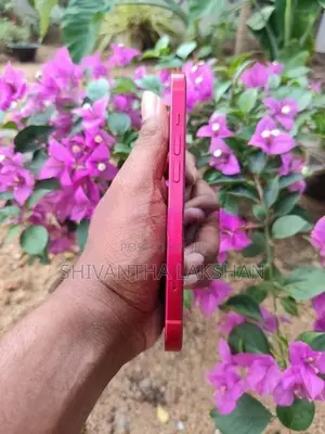 Apple iPhone 13 (Used)
