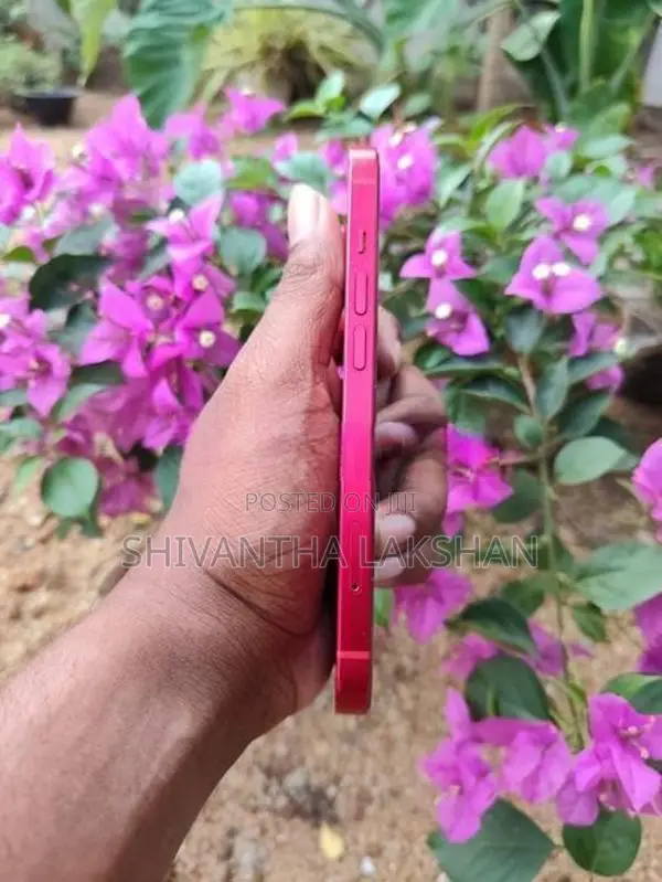 Apple iPhone 13 (Used)