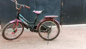 Kids 20" Bicycle ( )