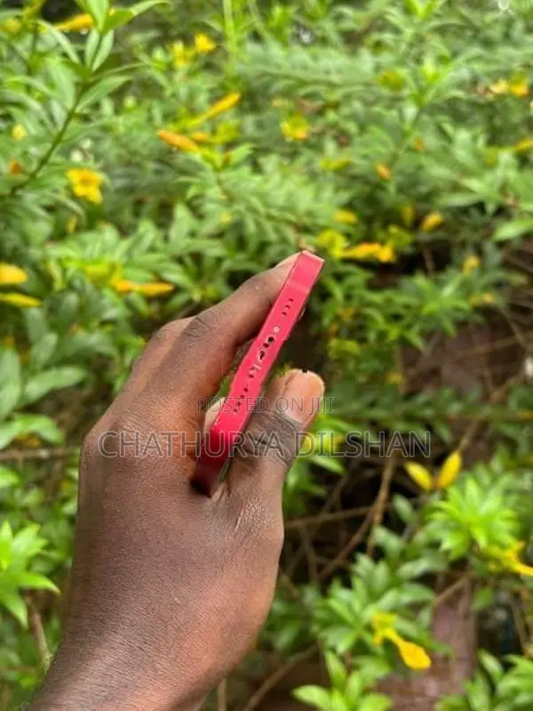 Apple iPhone 13 (Used)