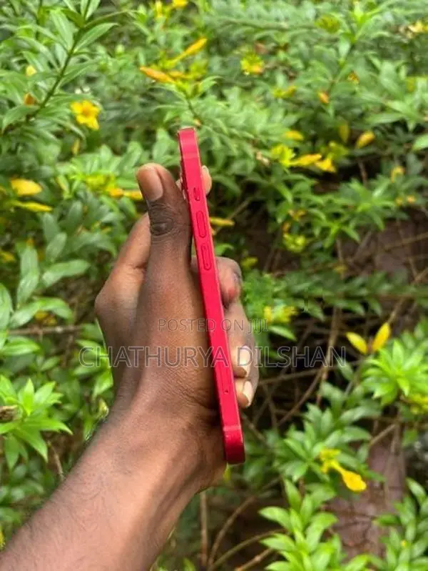 Apple iPhone 13 (Used)