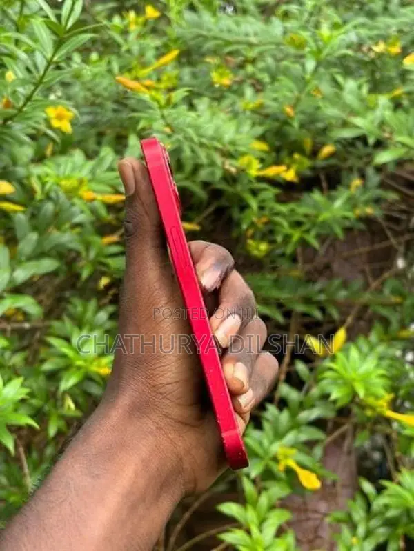 Apple iPhone 13 (Used)