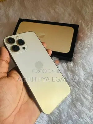 Apple iPhone 13 Pro Max (Used)