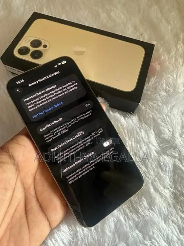 Apple iPhone 13 Pro Max (Used)
