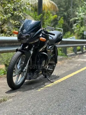 Bajaj Pulsar 150 2009