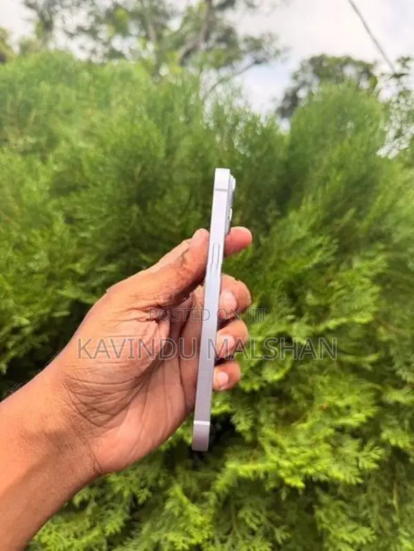 Apple iPhone 14 128GB (Used)