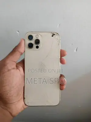 Apple iPhone 12 Pro (Used)