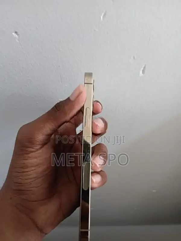 Apple iPhone 12 Pro (Used)