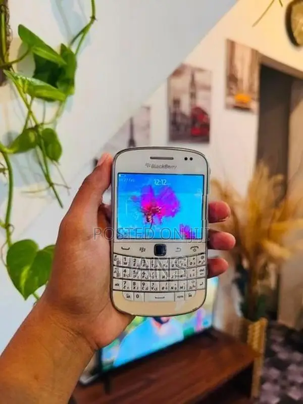 BlackBerry Bold (Used)