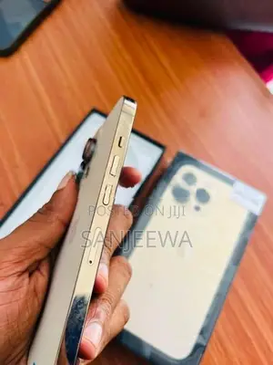 Apple iPhone 13 Pro (Used)