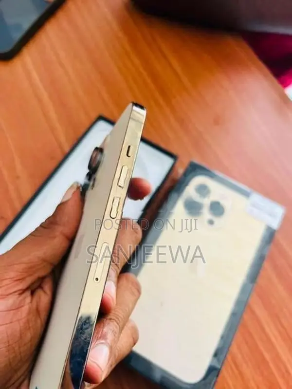 Apple iPhone 13 Pro (Used)
