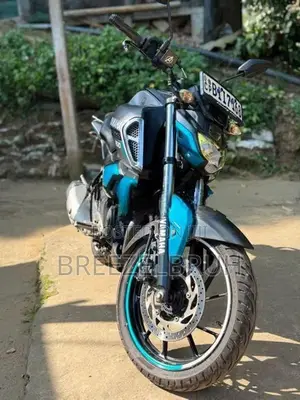 Yamaha FZS V3 2019