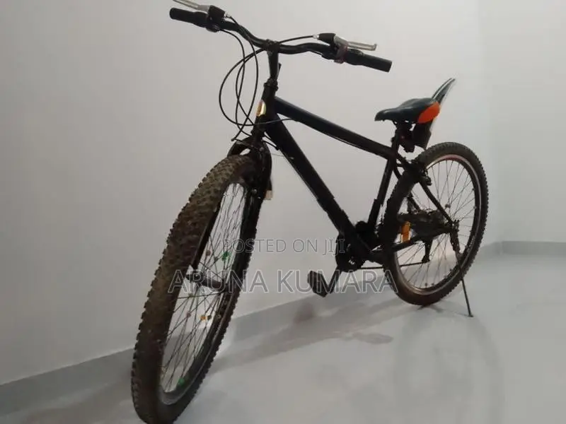 DSI Mountain Bicycle + 2 Wheels