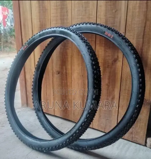 DSI Mountain Bicycle + 2 Wheels