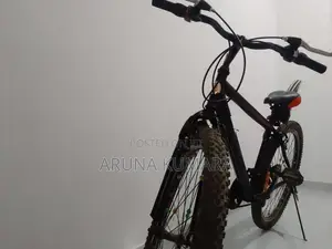 DSI Mountain Bicycle + 2 Wheels