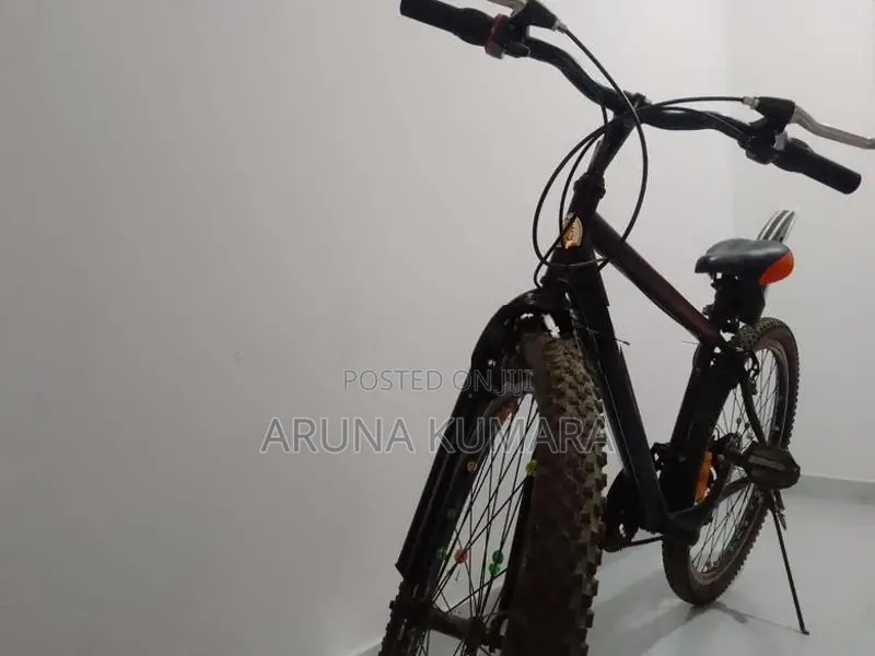 DSI Mountain Bicycle + 2 Wheels