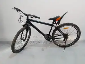 DSI Mountain Bicycle + 2 Wheels