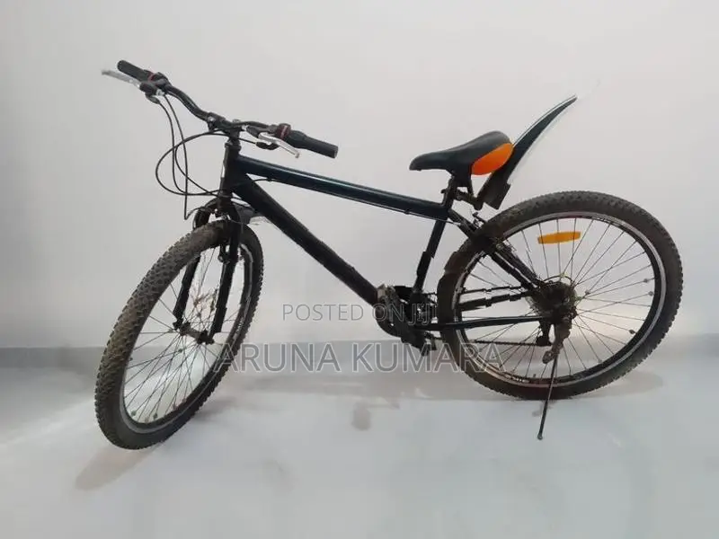 DSI Mountain Bicycle + 2 Wheels