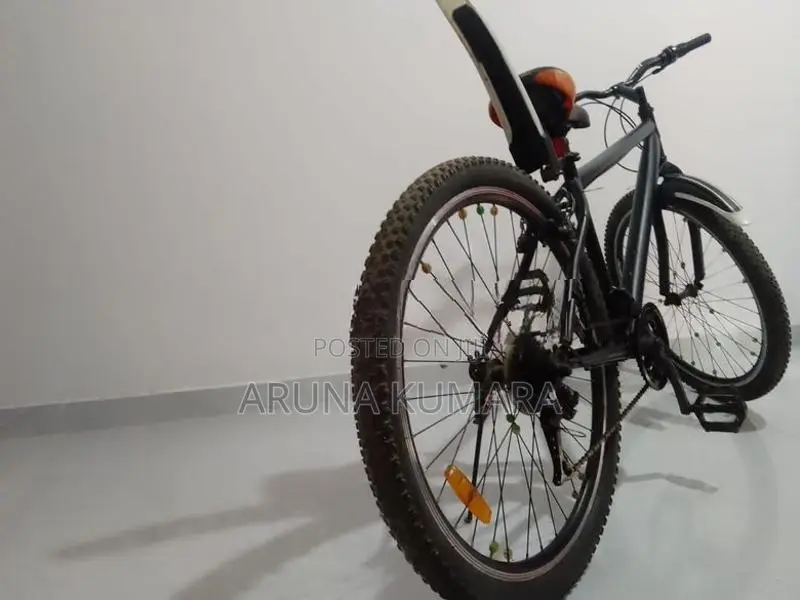DSI Mountain Bicycle + 2 Wheels