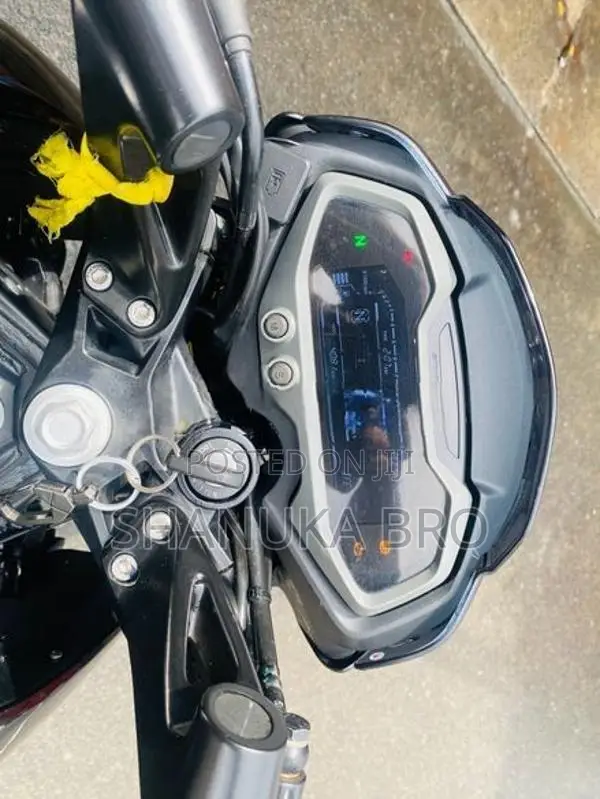 Bajaj Pulsar NS200 2025