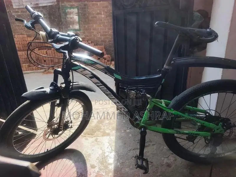 Mountain Bike