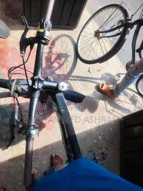 Mountain Bike