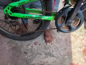 Mountain Bike