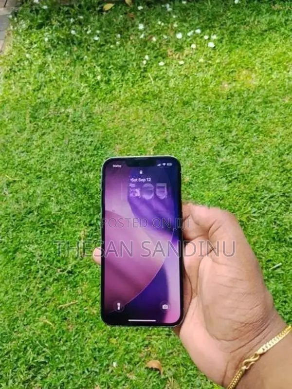 Apple iPhone 13 Pro (Used)