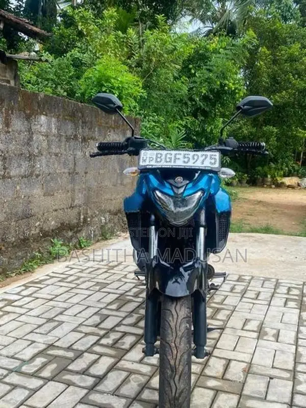 Yamaha FZ25 2019