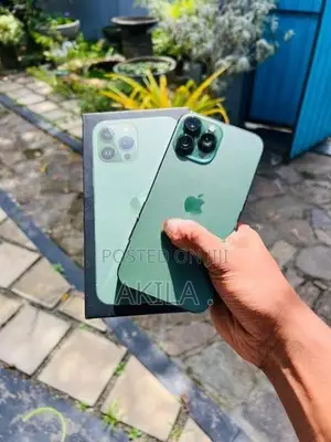 Apple iPhone 13 Pro Max (Used)