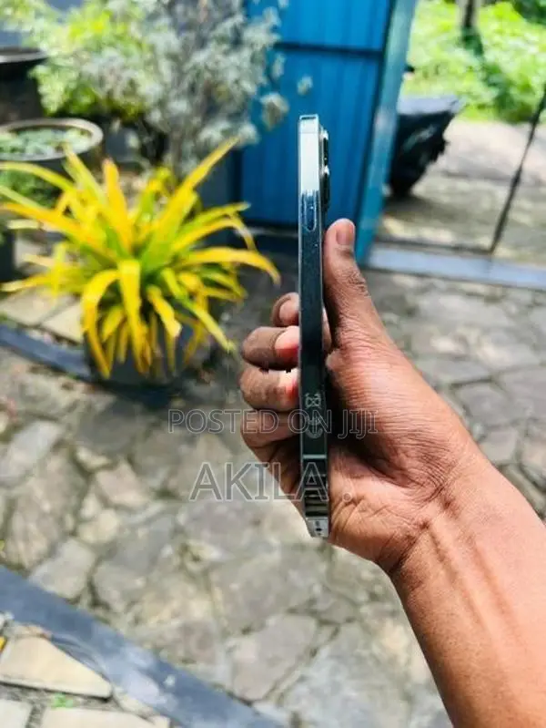 Apple iPhone 13 Pro Max (Used)
