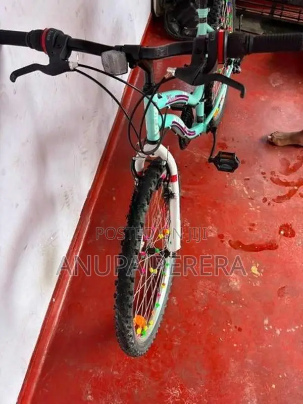 Bicycle
