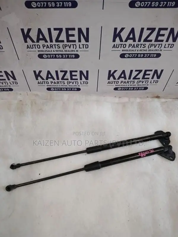 Toyota Aqua Dicky Door Shock
