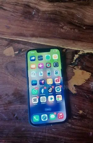 Apple iPhone 13 (Used)