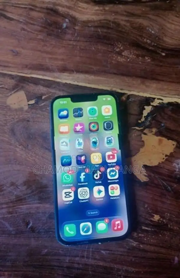 Apple iPhone 13 (Used)