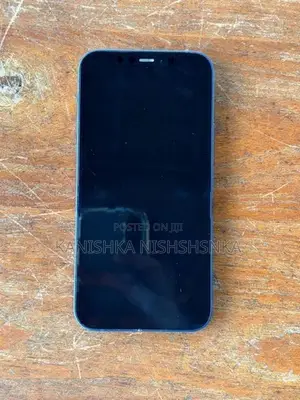 Apple iPhone 12 (Used)