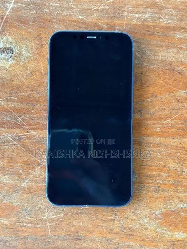 Apple iPhone 12 (Used)