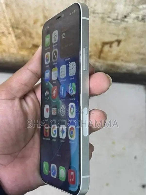 Apple iPhone 12 (Used)