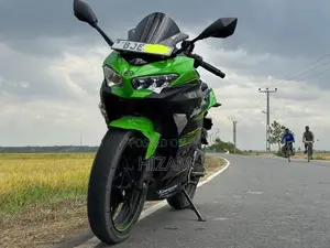 Kawasaki Ninja 250 2023