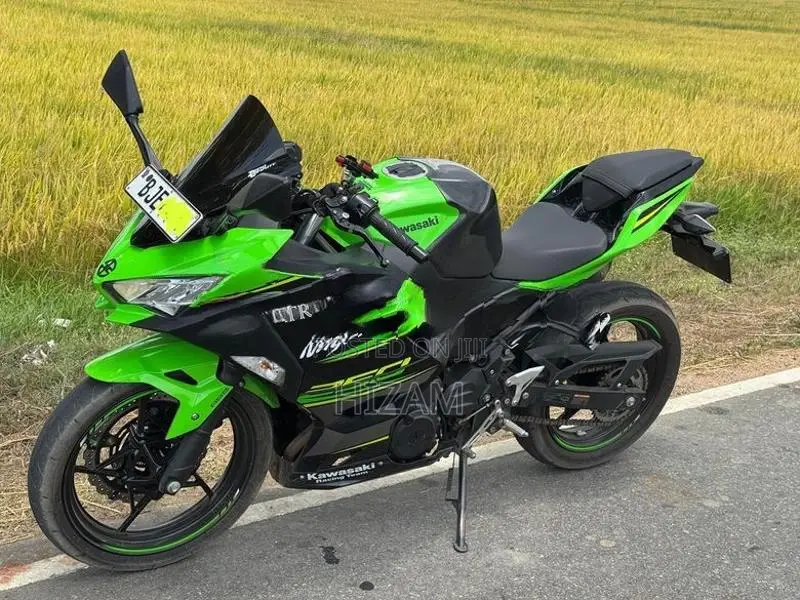 Kawasaki Ninja 250 2023