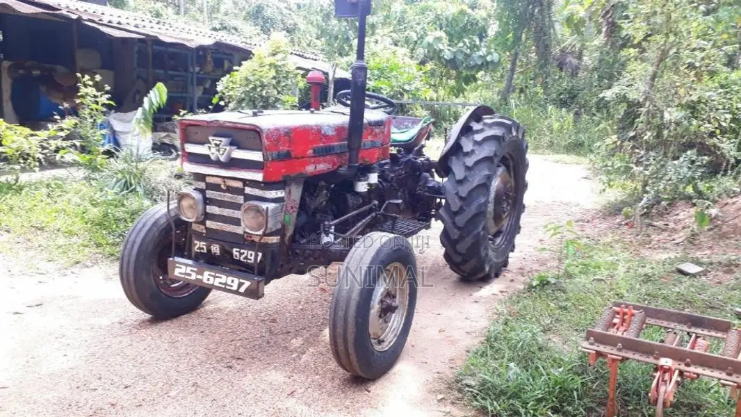 Massey-Ferguson 135 D 25 6297 1982 Tractor (Used)